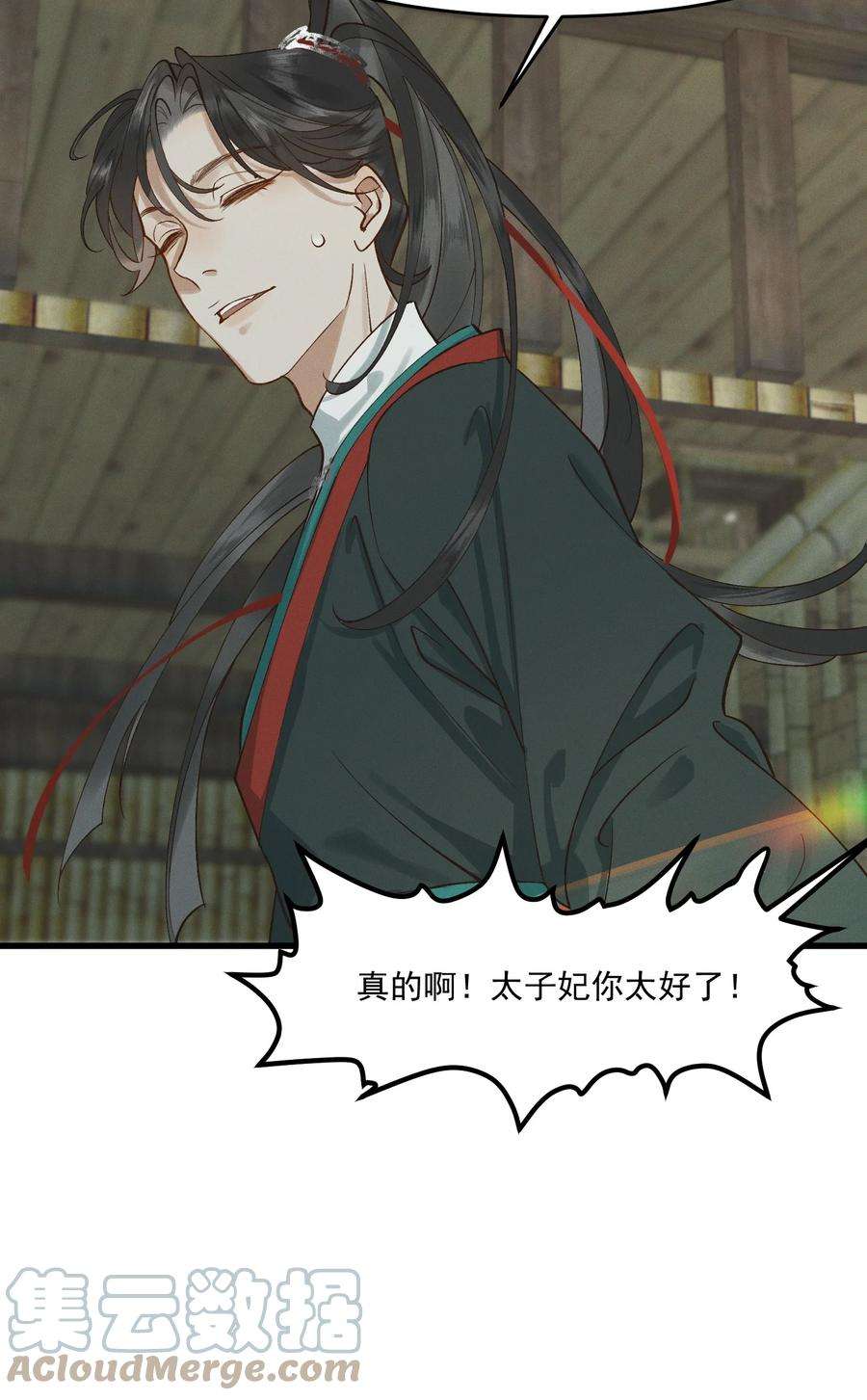 太子殿下你的马甲又掉了025 你猜我是谁