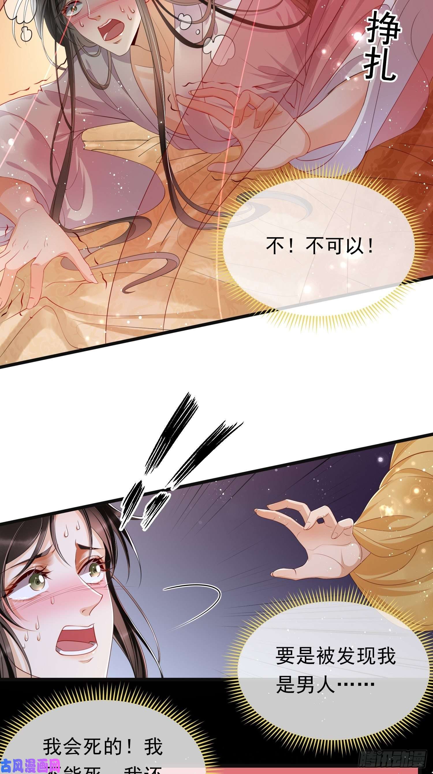 专宠贵妃是男人01替嫁入宫