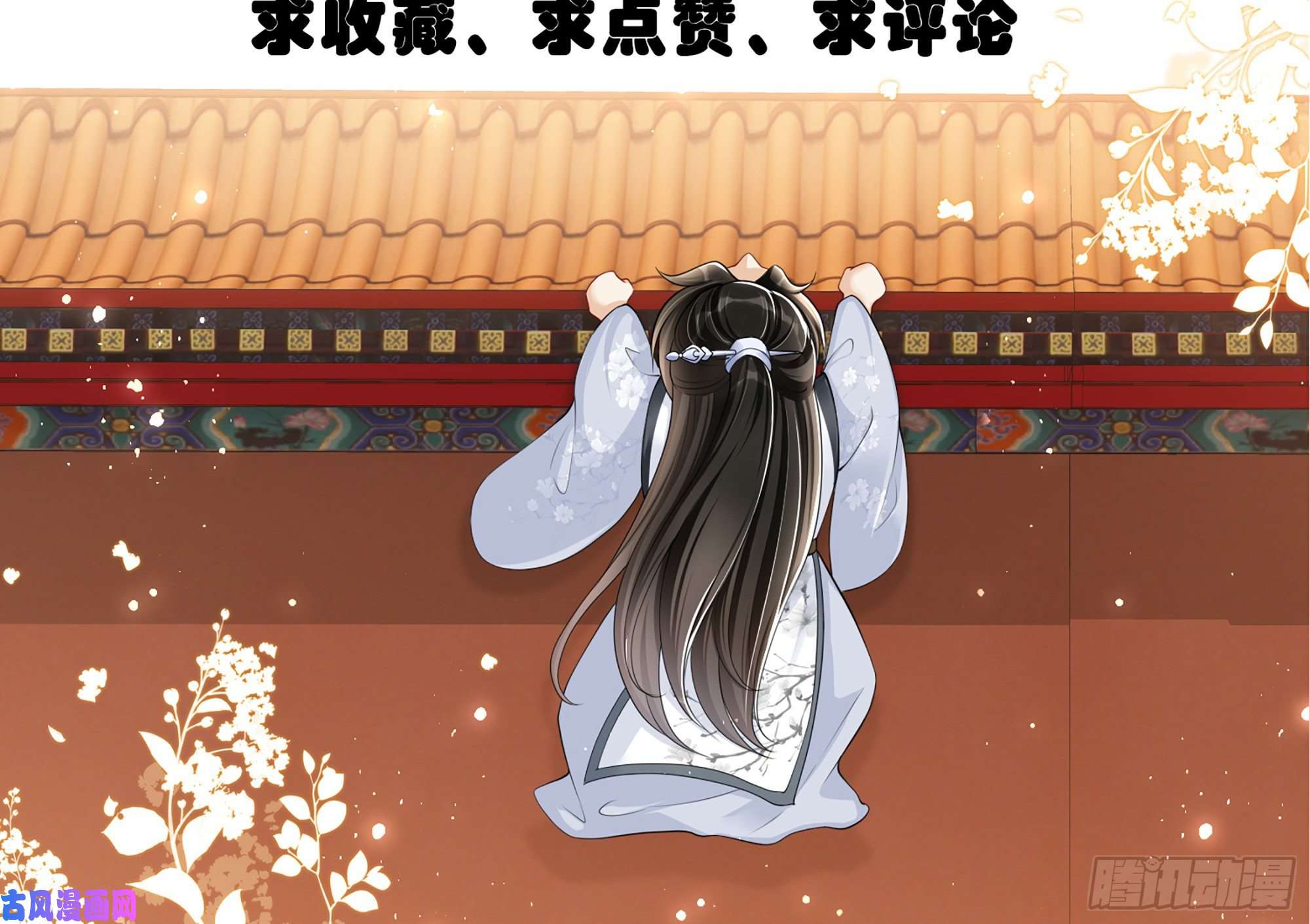 专宠贵妃是男人08 争宠开始了！