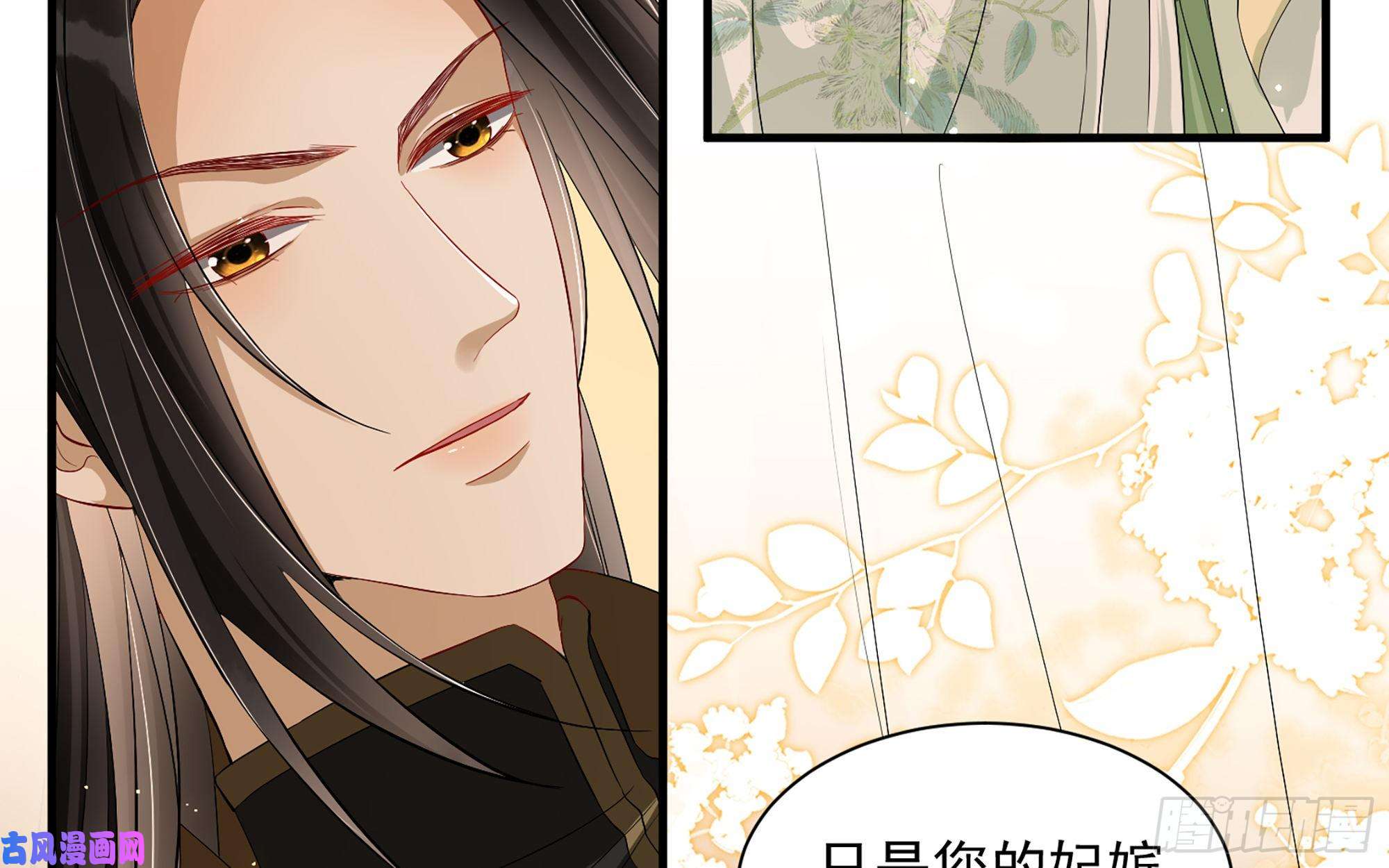 专宠贵妃是男人14 夫君听我解释