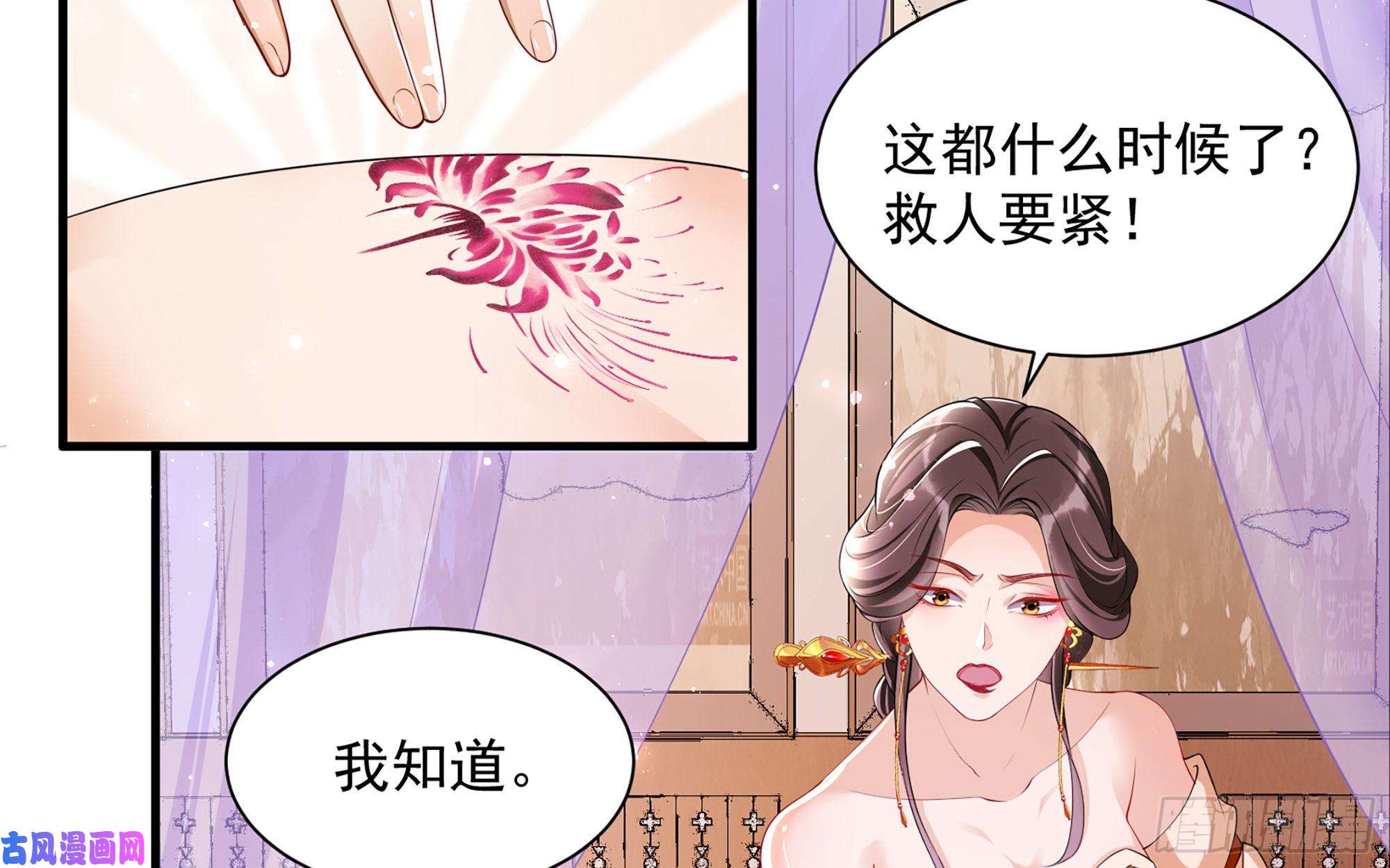 专宠贵妃是男人20 陛下，我想带他走