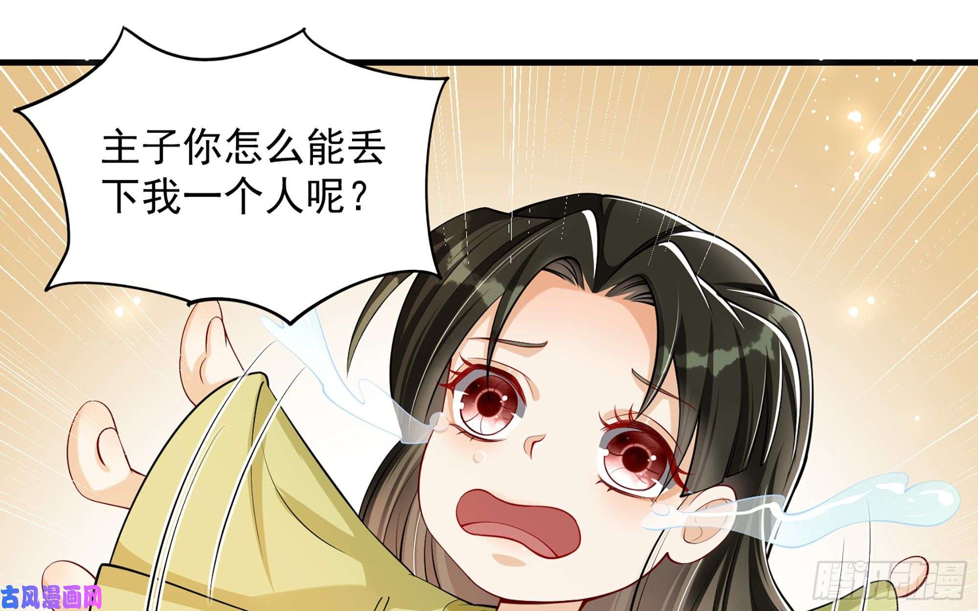 专宠贵妃是男人40 男装谢妃有喜了