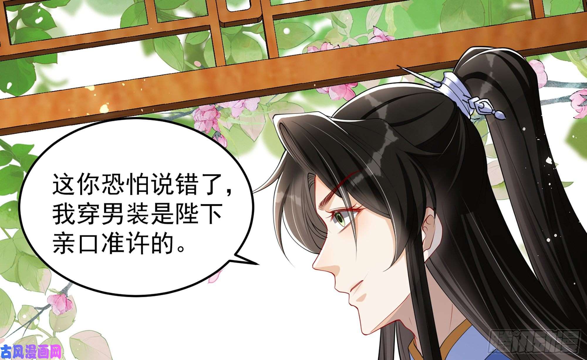 专宠贵妃是男人40 男装谢妃有喜了