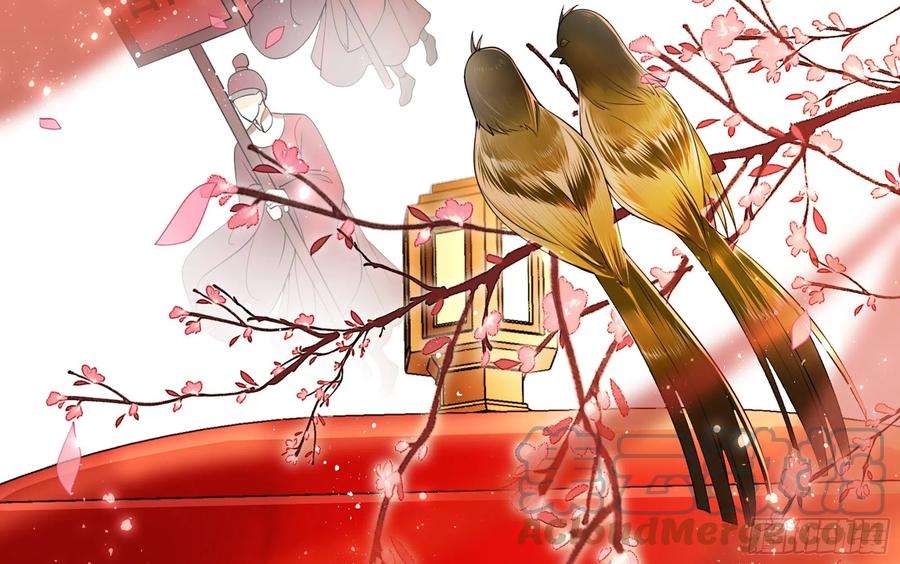 专宠贵妃是男人01 替嫁入宫