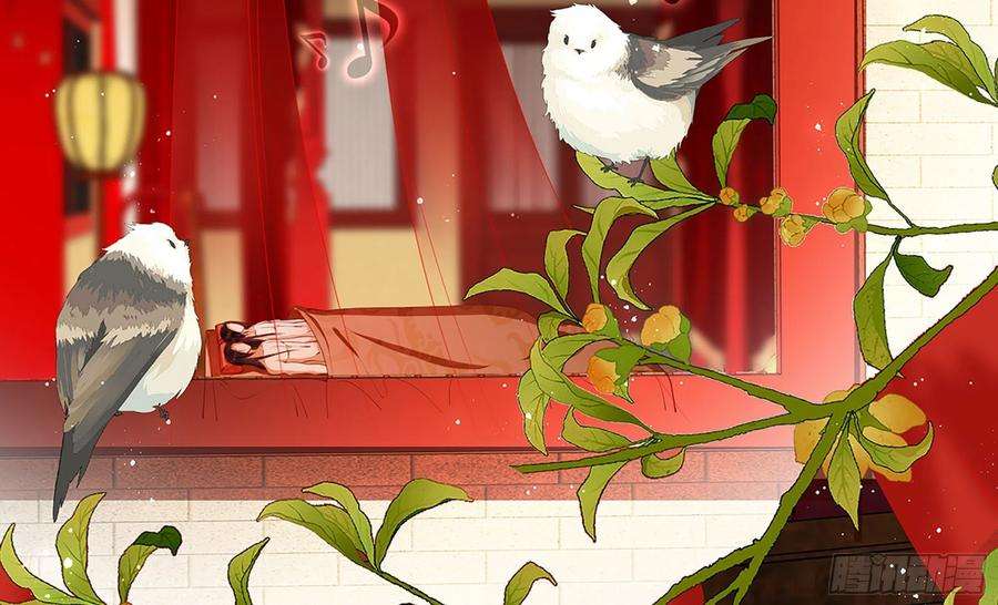 专宠贵妃是男人02 入宫第一天