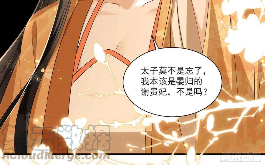 专宠贵妃是男人64 真相大白
