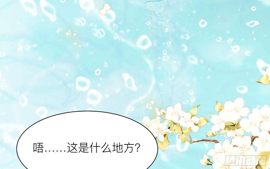 专宠贵妃是男人72 番外2 这次换我嫁你