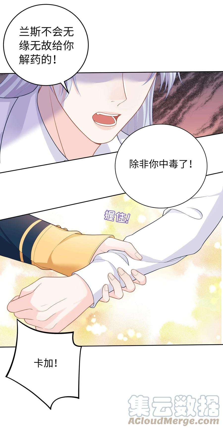 恶役皇后012 成为我的骑士