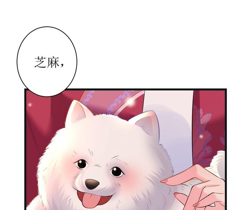 郡主稳住，人设不能崩！55话 小心摔跤！