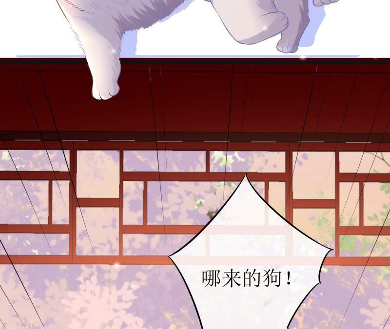 郡主稳住，人设不能崩！55话 小心摔跤！