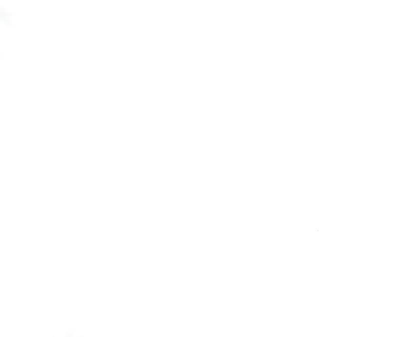 郡主稳住，人设不能崩！63话 相思之意