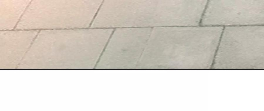 郡主稳住，人设不能崩！87话 捡到宝了！