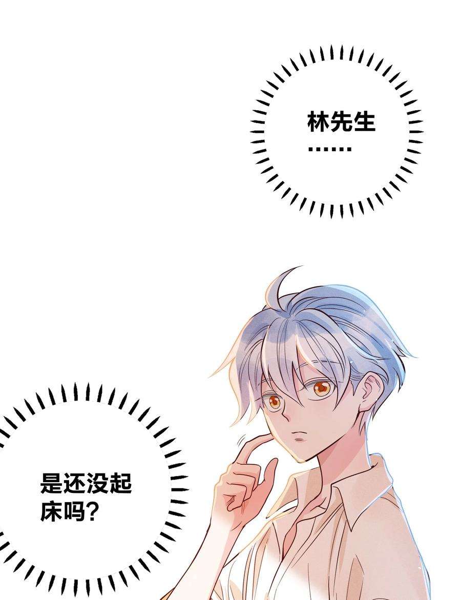 玩物丧志06 西伯利亚雪橇犬