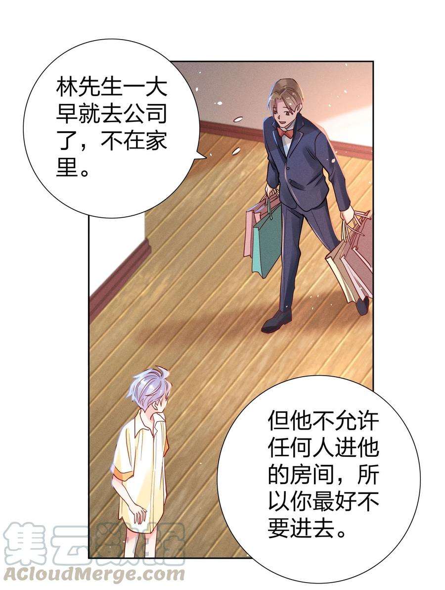 玩物丧志06 西伯利亚雪橇犬