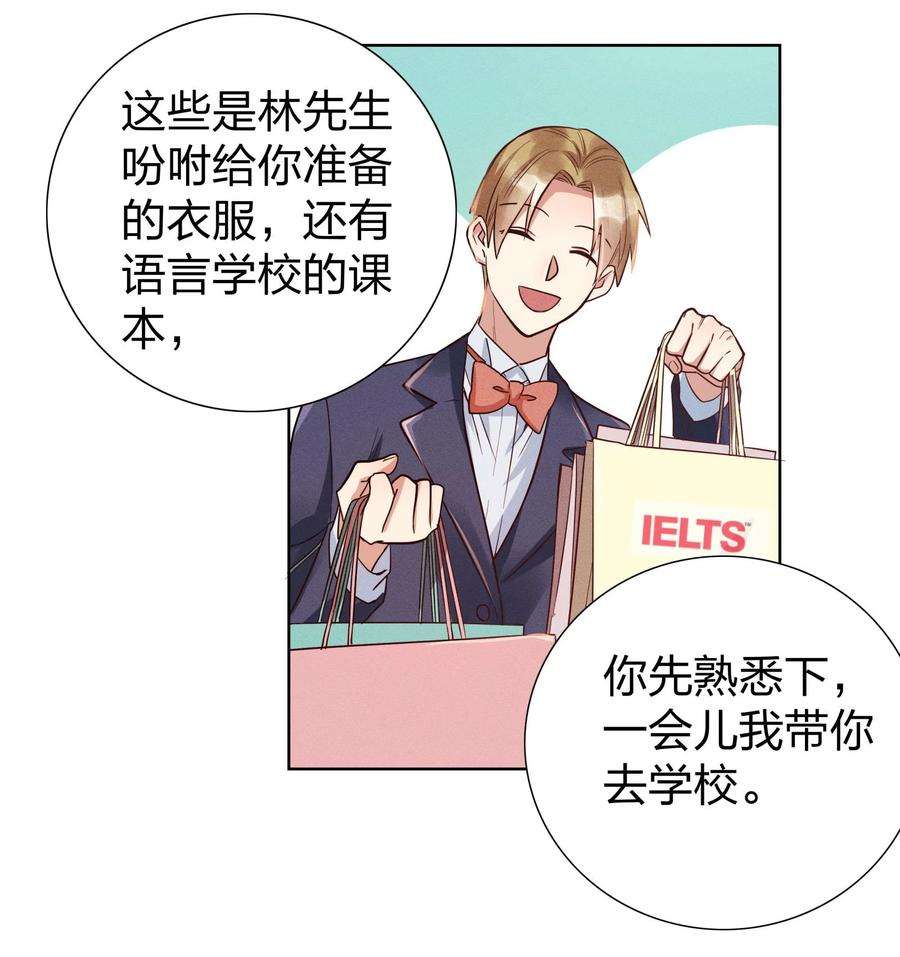 玩物丧志06 西伯利亚雪橇犬