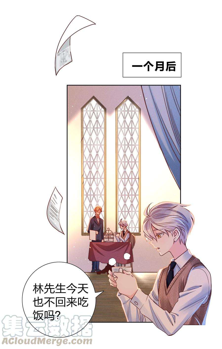 玩物丧志06 西伯利亚雪橇犬