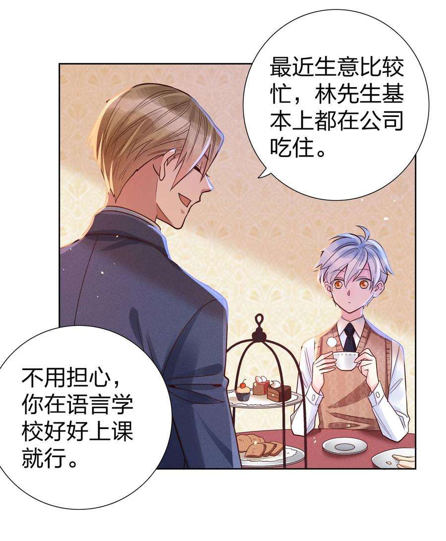 玩物丧志06 西伯利亚雪橇犬