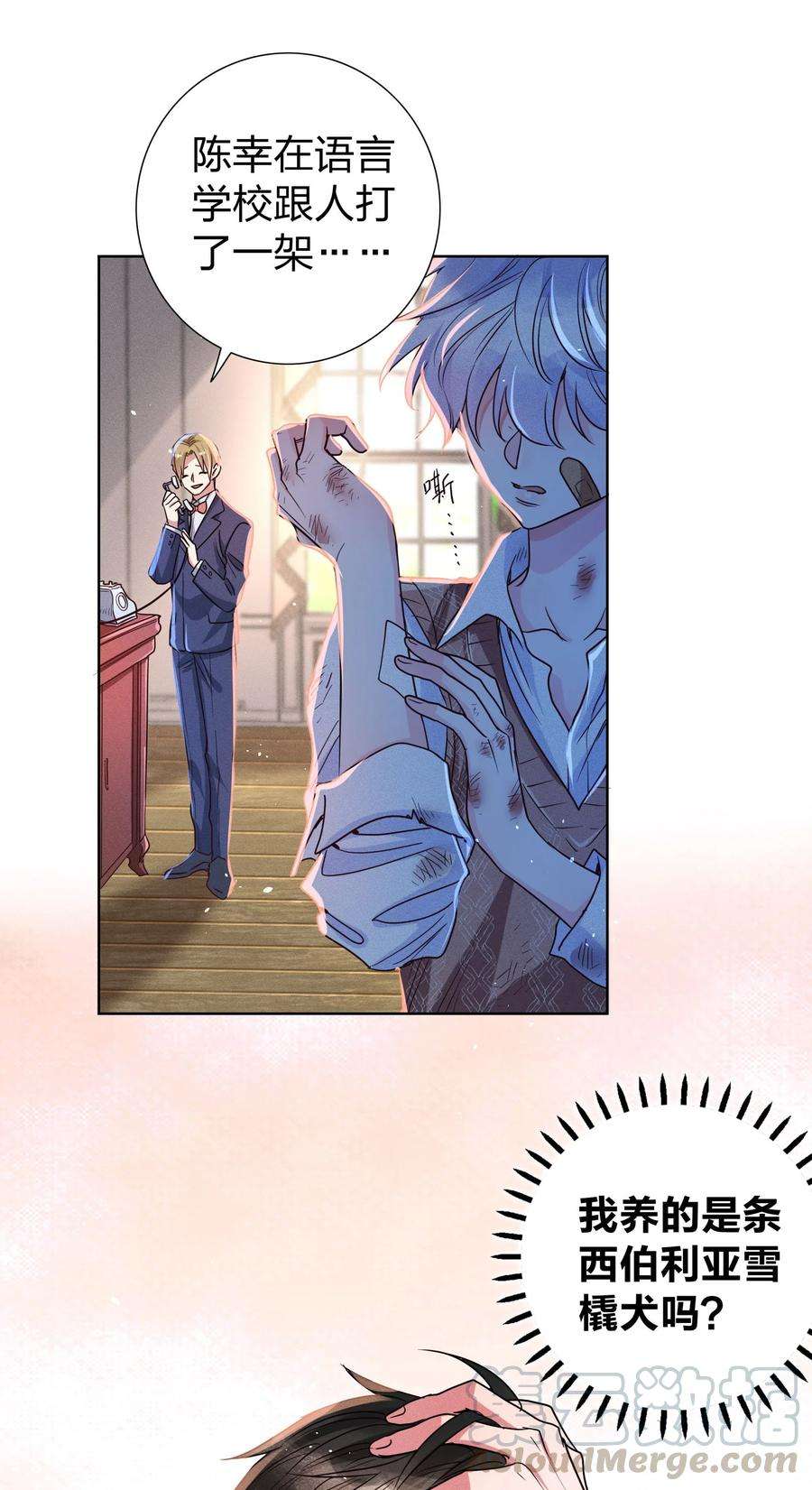 玩物丧志06 西伯利亚雪橇犬