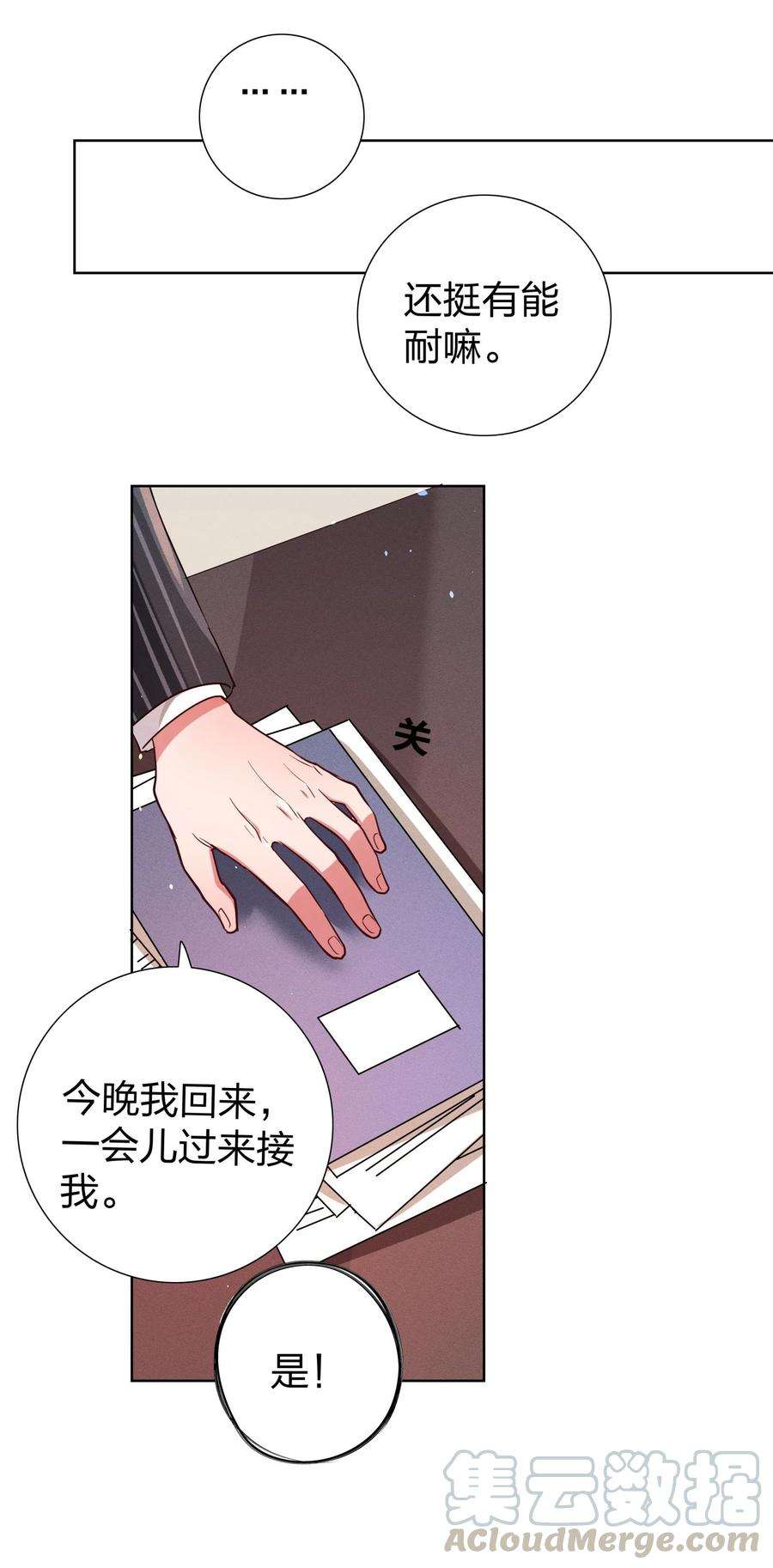 玩物丧志06 西伯利亚雪橇犬