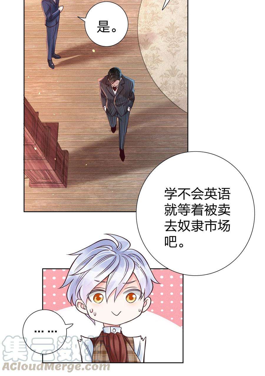 玩物丧志06 西伯利亚雪橇犬