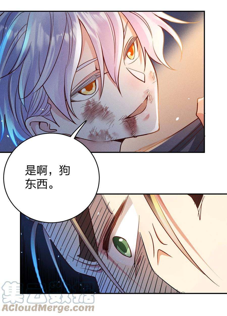 玩物丧志054 勇敢的大宝贝