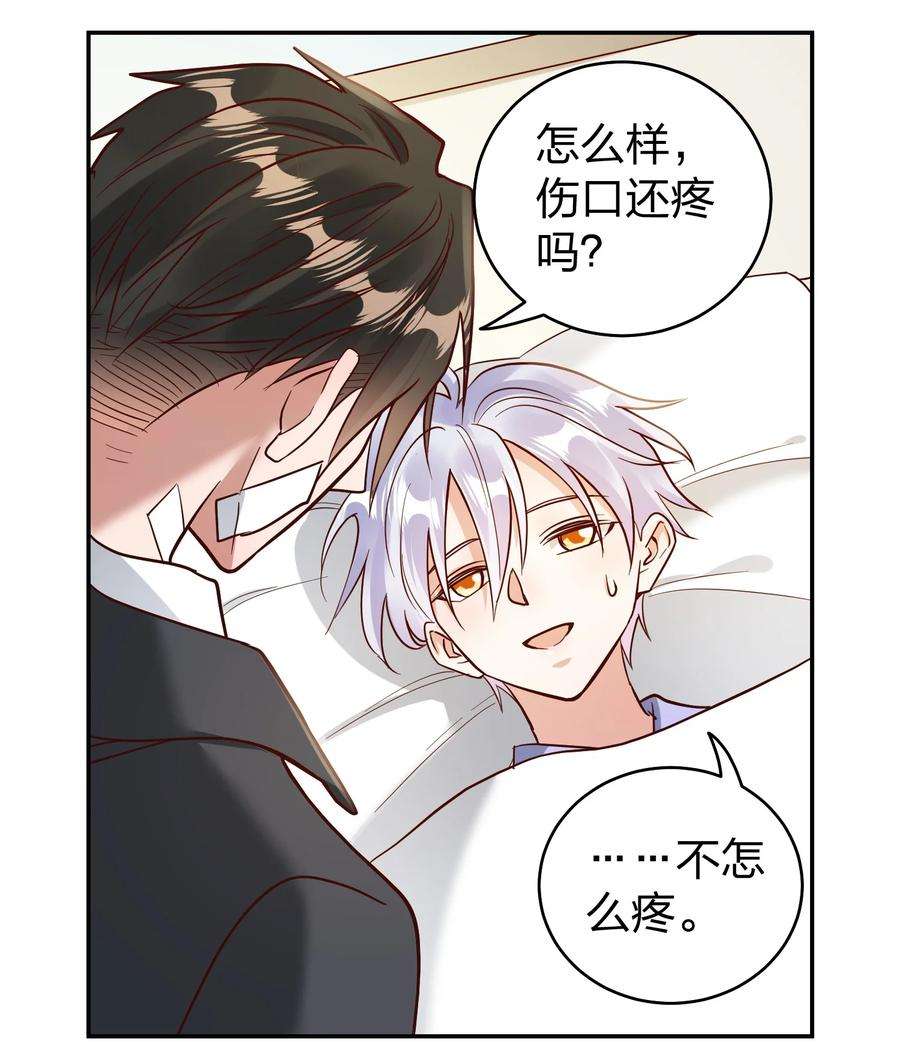 玩物丧志072 护花使者