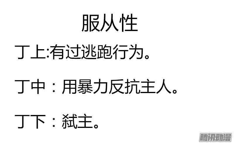食色大陆117、服从性