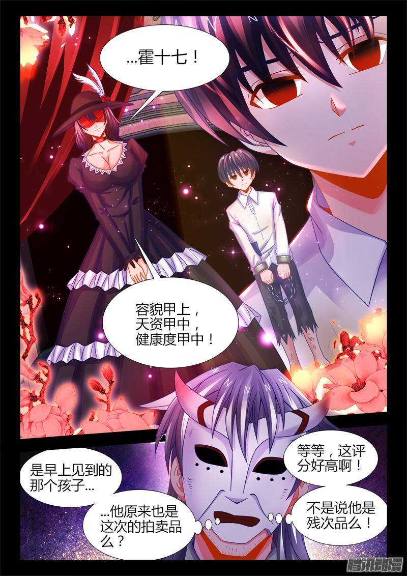 食色大陆117、服从性