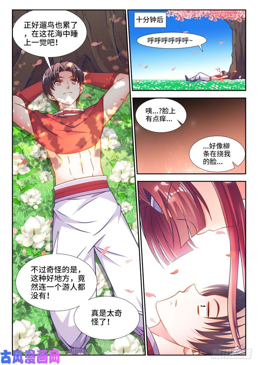 食色大陆322、好大的花海