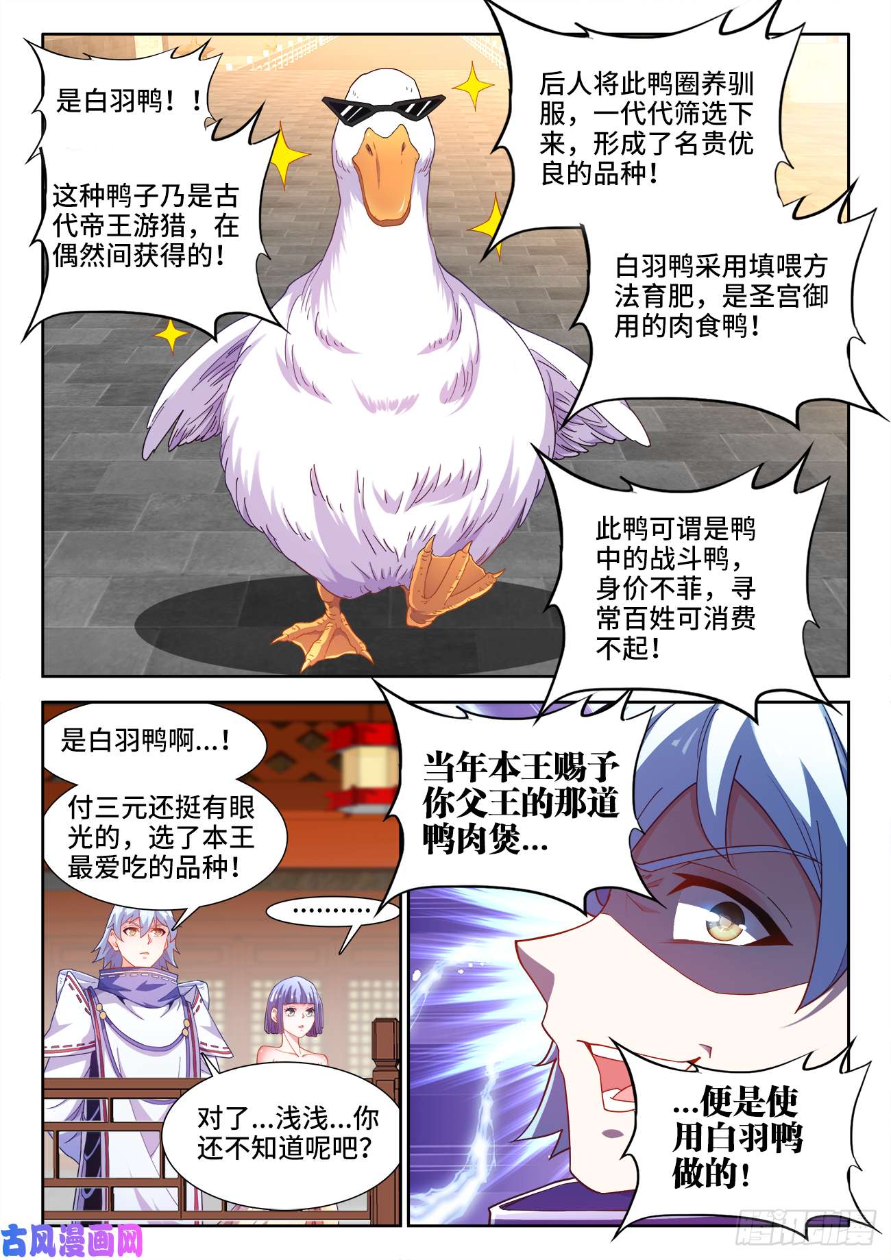 食色大陆501、白羽鸭