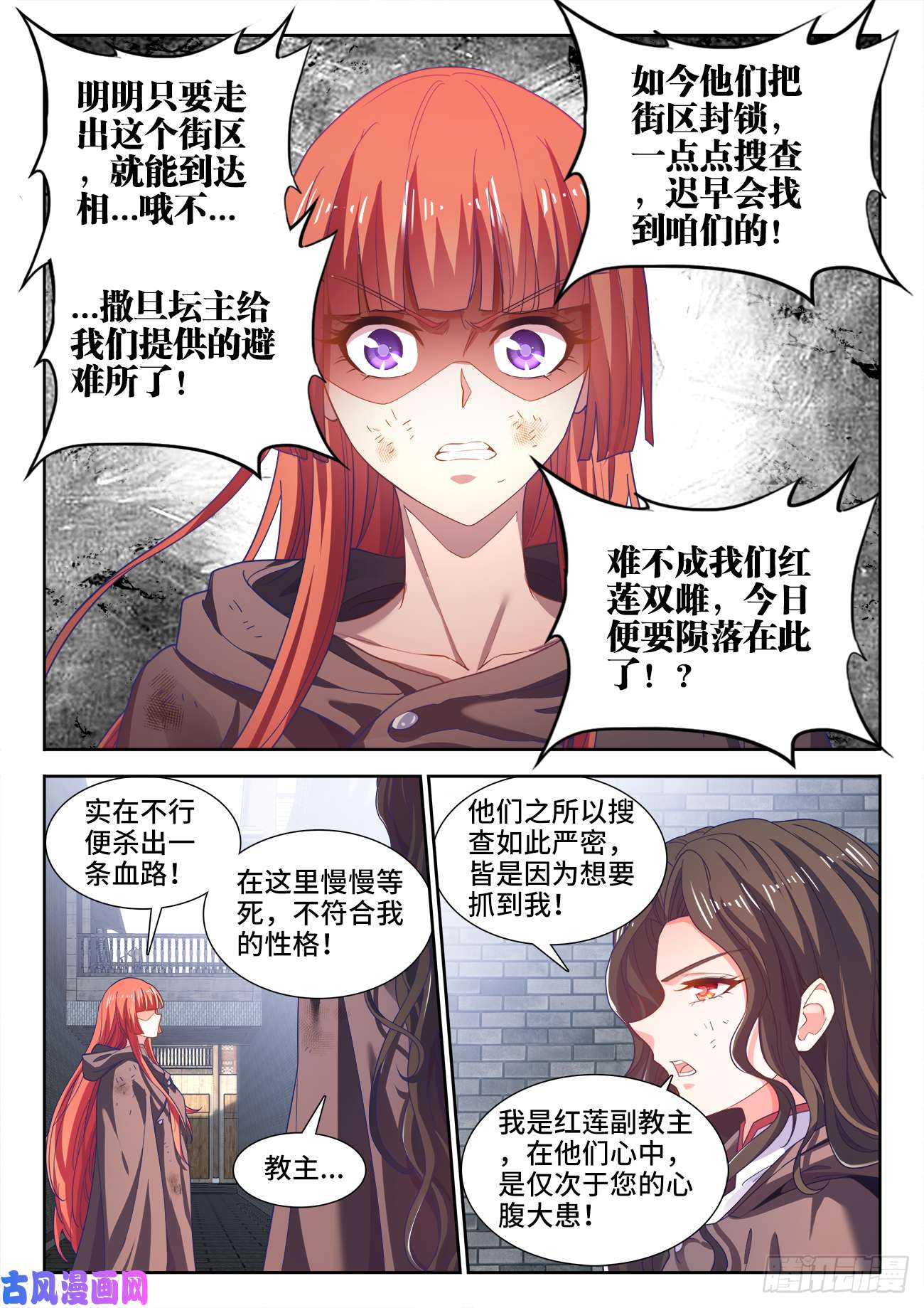 食色大陆501、白羽鸭