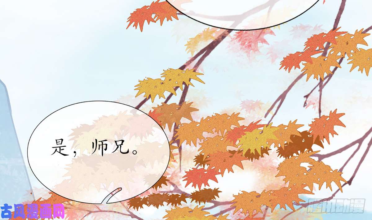 打死也不做师尊第13话 师徒情深，永不分离