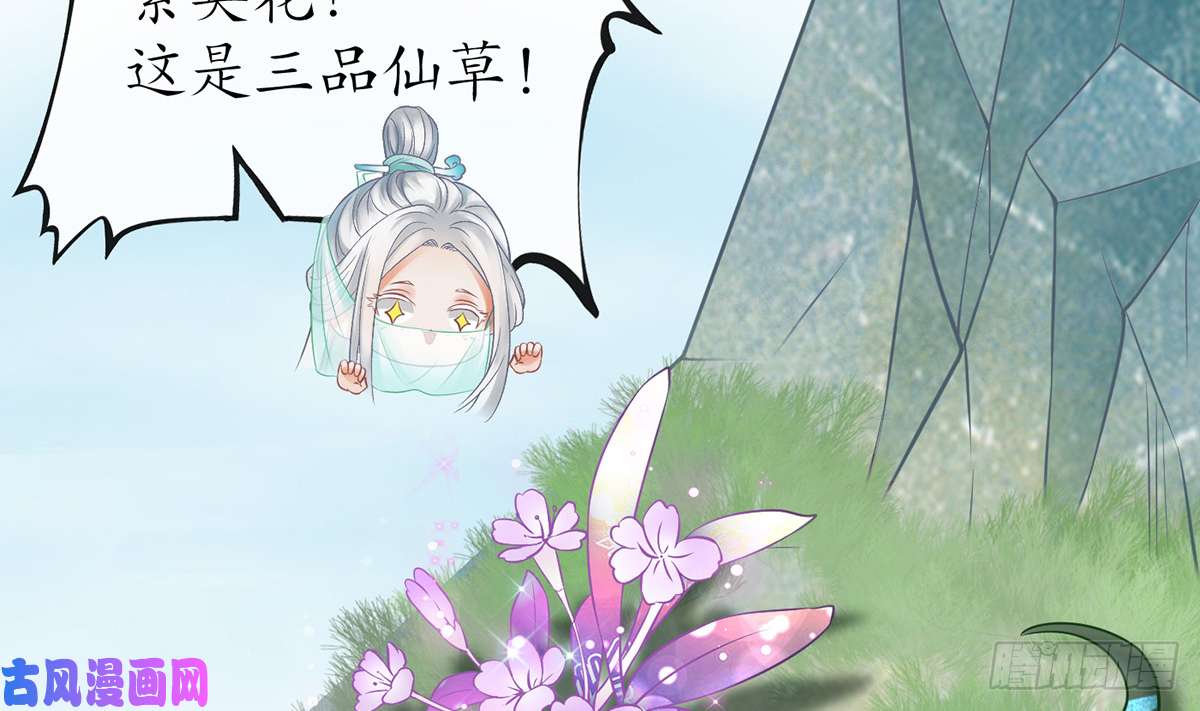 打死也不做师尊第13话 师徒情深，永不分离