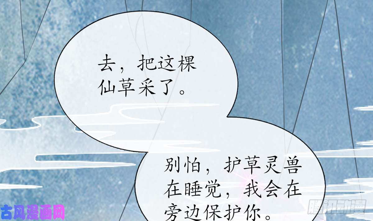 打死也不做师尊第13话 师徒情深，永不分离