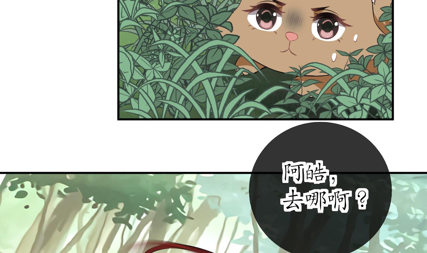 打死也不做师尊76 第75话 被动物占便宜了