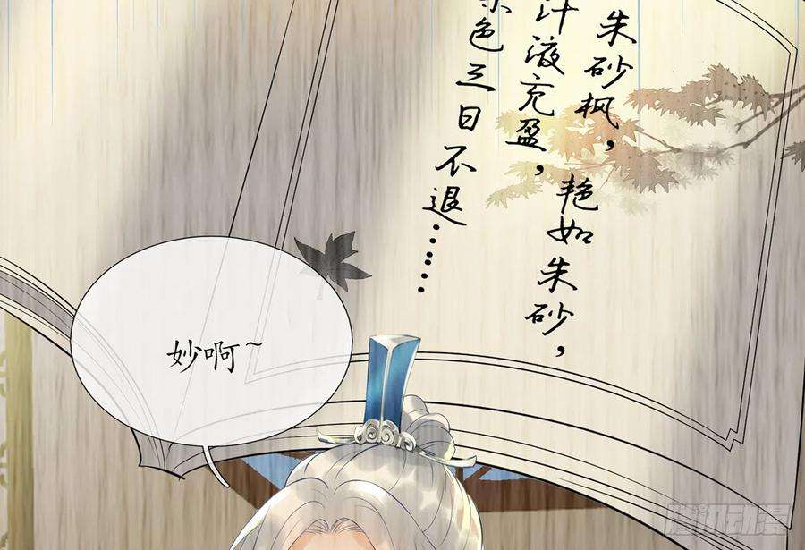 打死也不做师尊5话 昨晚是不是……