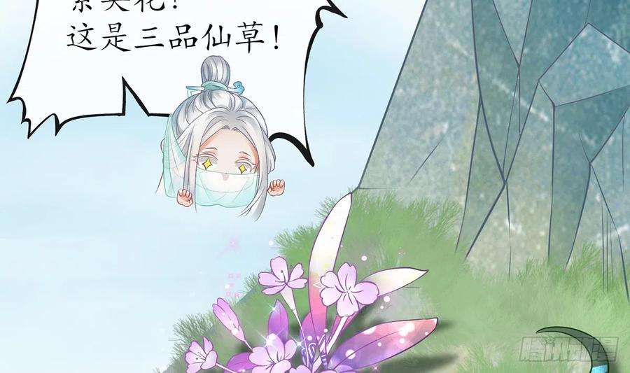 打死也不做师尊13话 师徒情深，永不分离