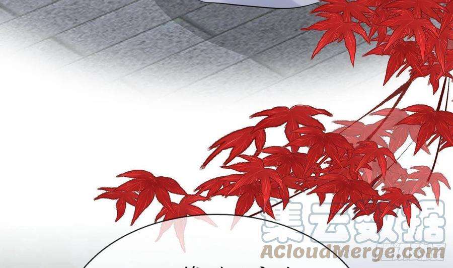 打死也不做师尊50话 为师带你飞