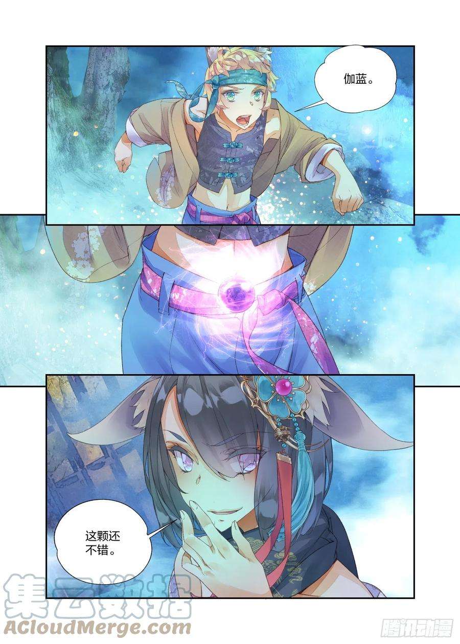 秋罗 II 桑染14 这颗还不错（下）