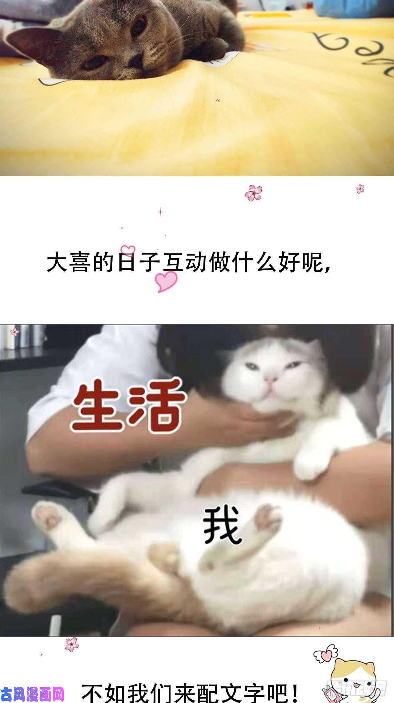 点绛唇05 女装