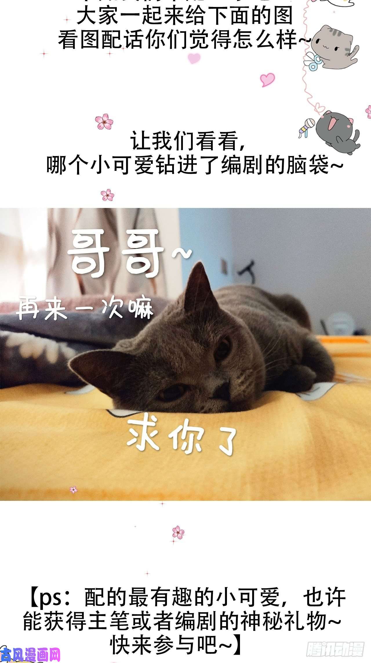 点绛唇05 女装