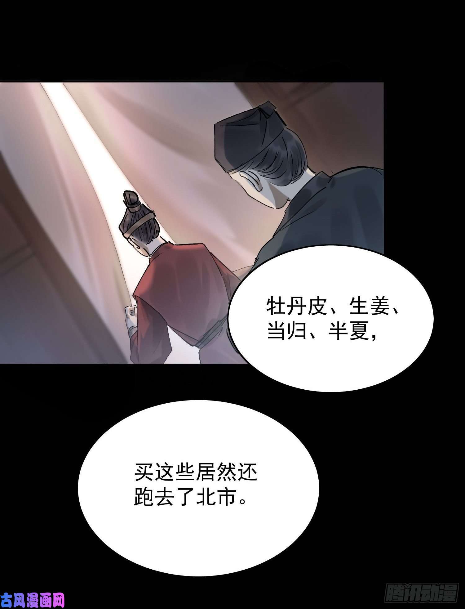 点绛唇21 真实身份