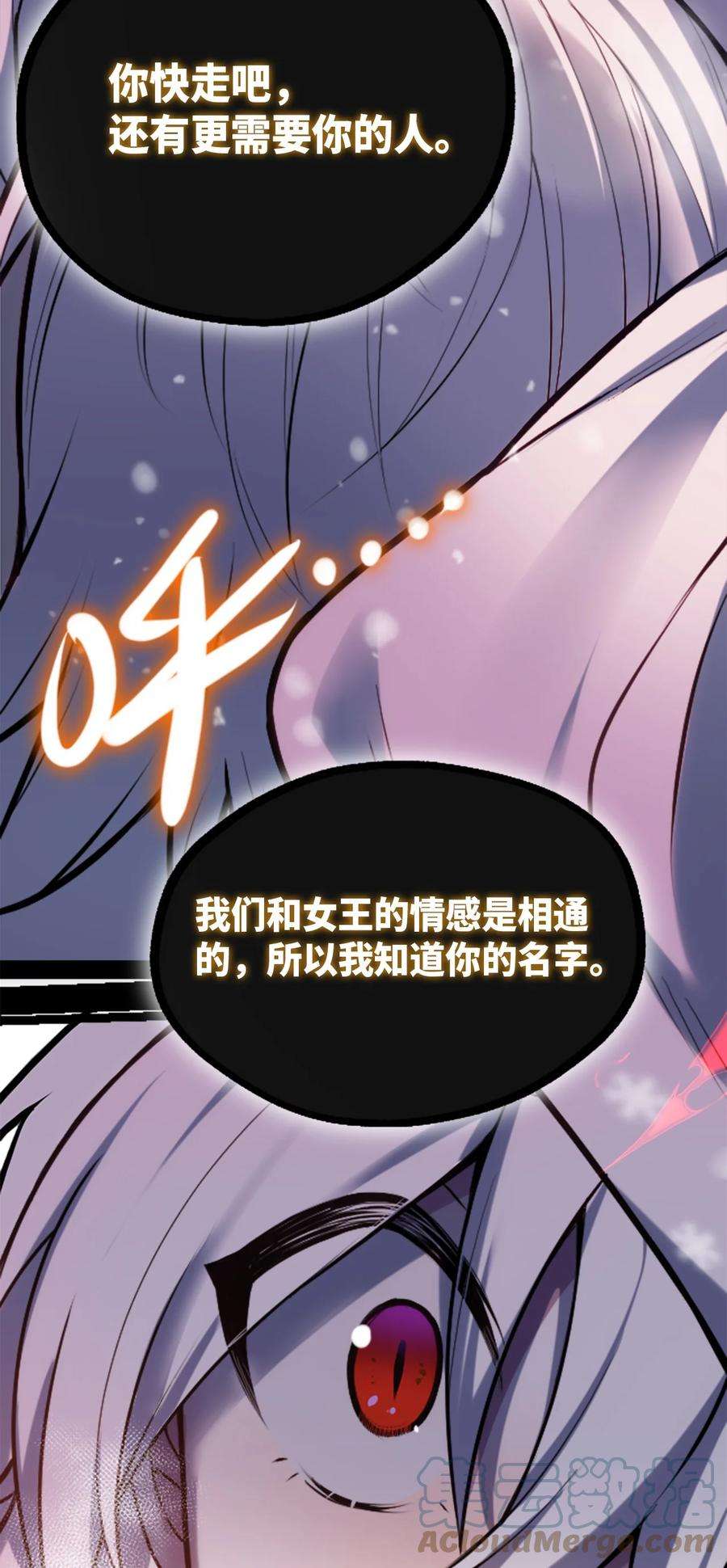 黑雪·白月·永生花10 夜晚之章