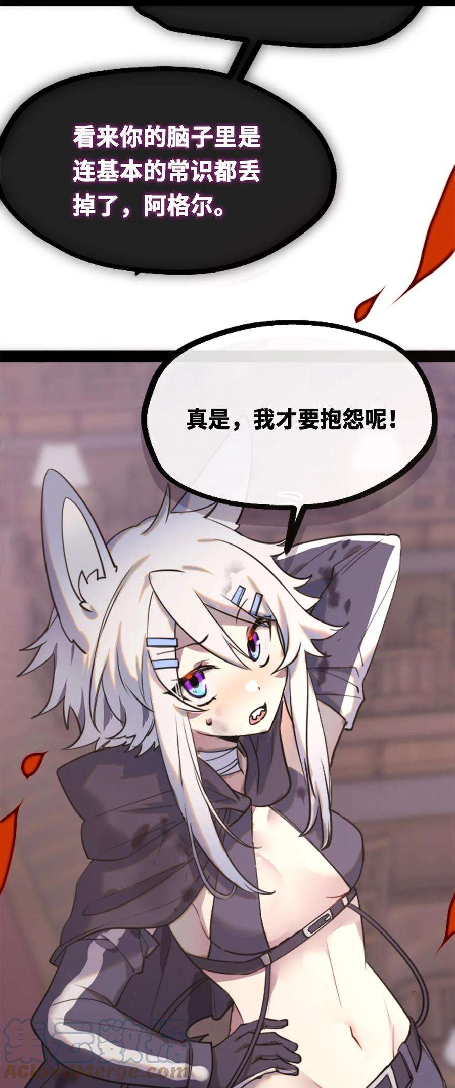 黑雪·白月·永生花12 不屈之章