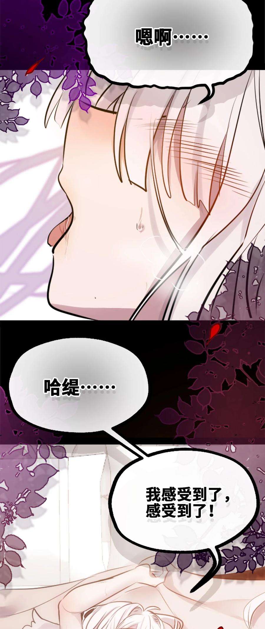黑雪·白月·永生花18 新生之章