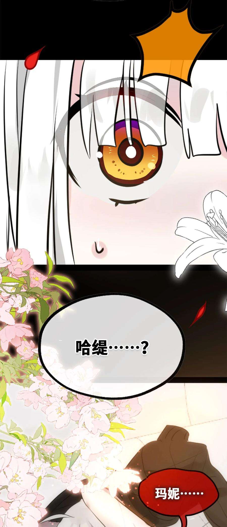 黑雪·白月·永生花23 番外之章