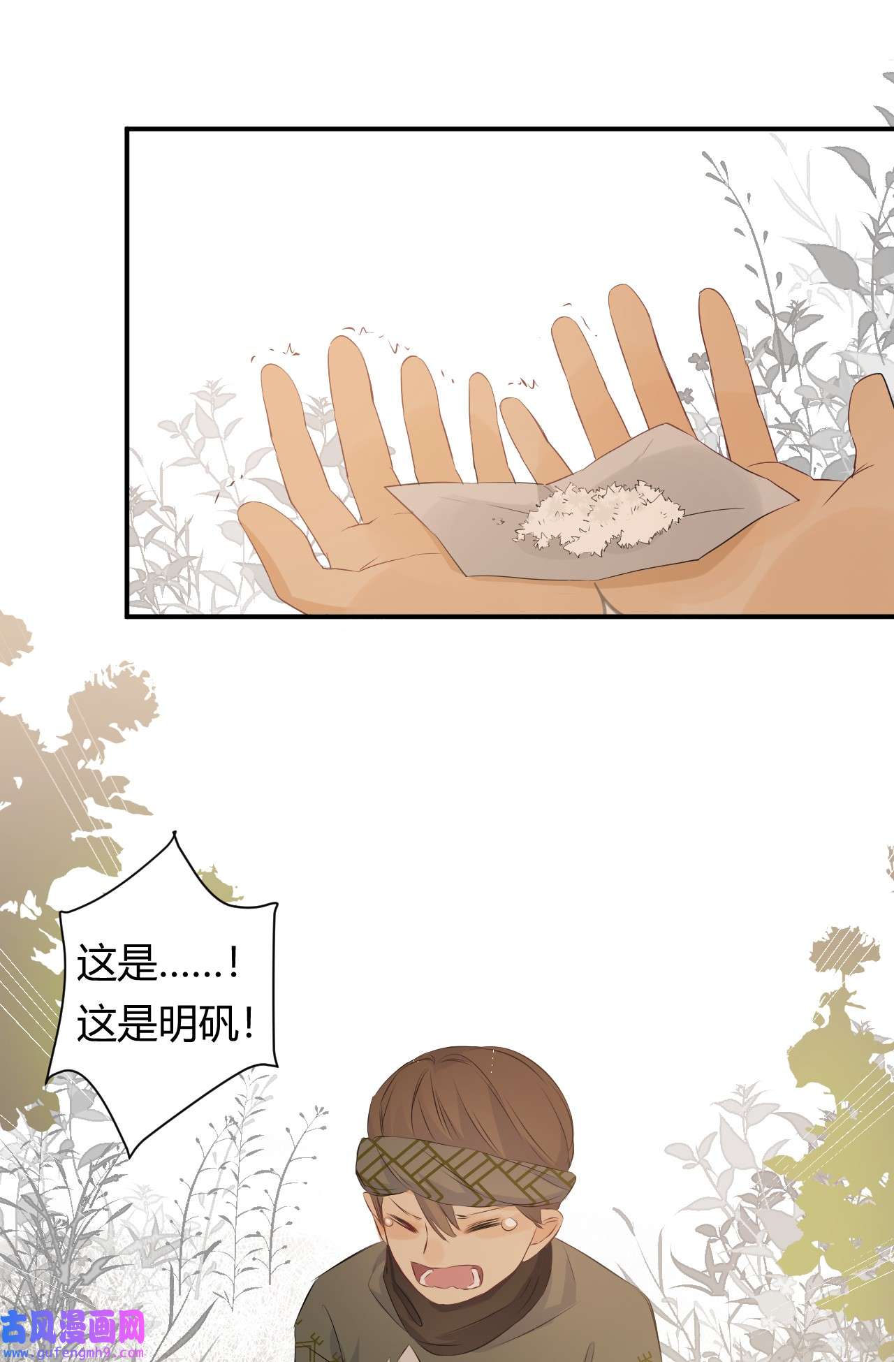 饲龙手册08 婚礼前的他们，暴君登场