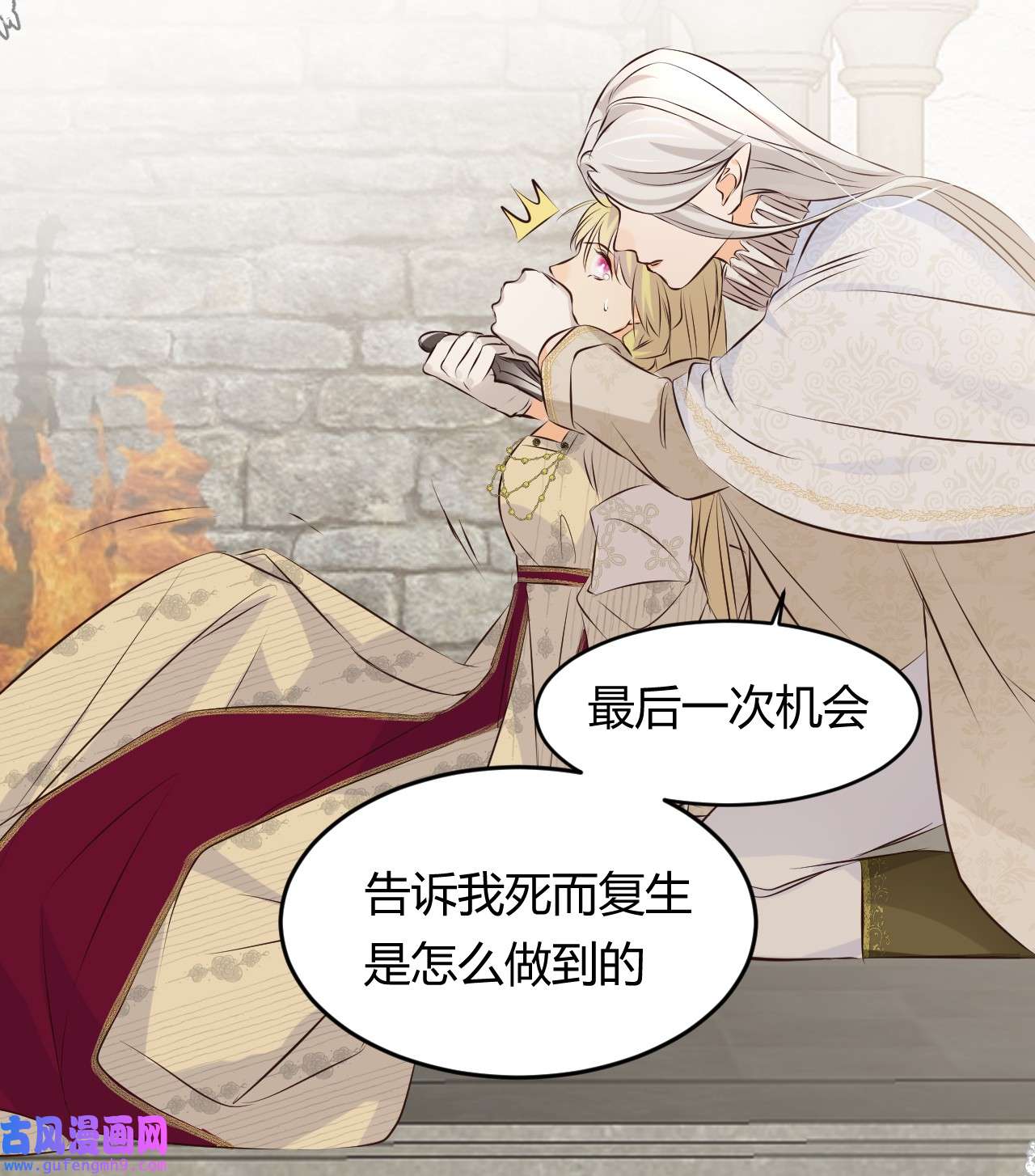 饲龙手册14 克拉克家的长生石