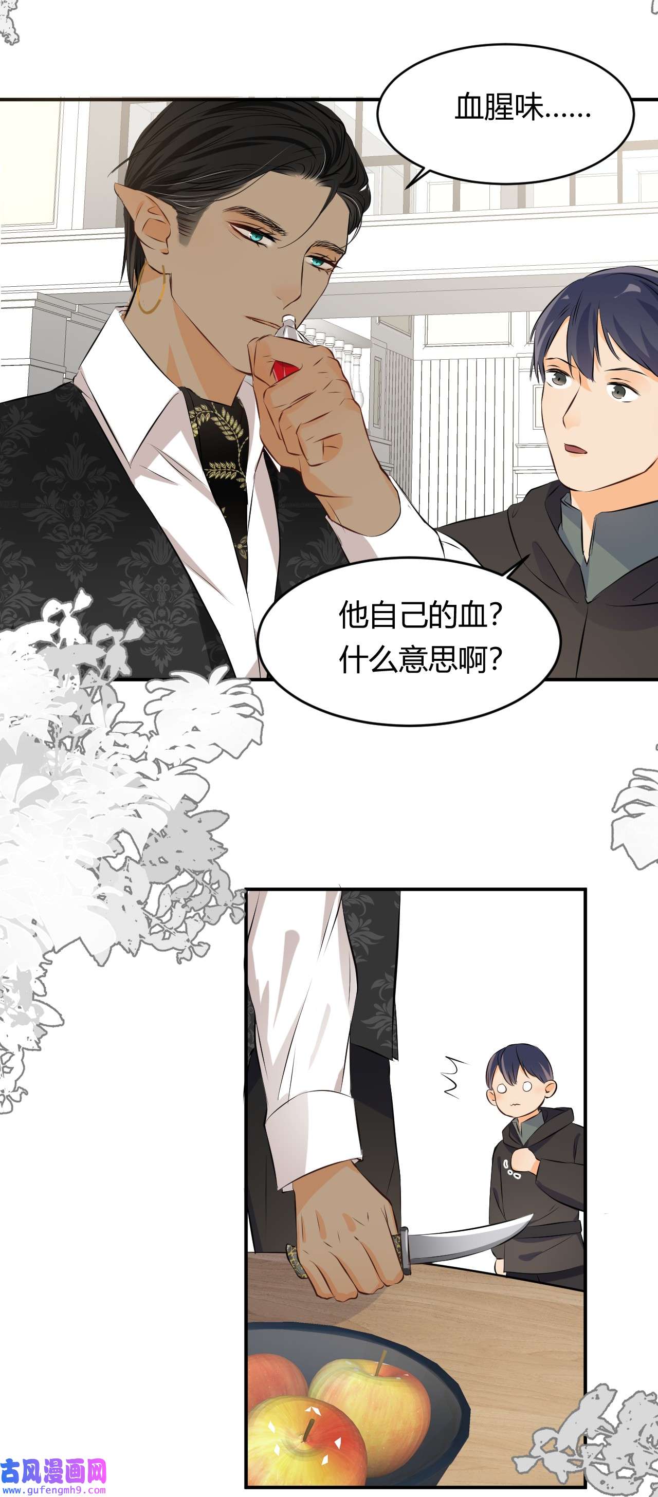 饲龙手册14 克拉克家的长生石