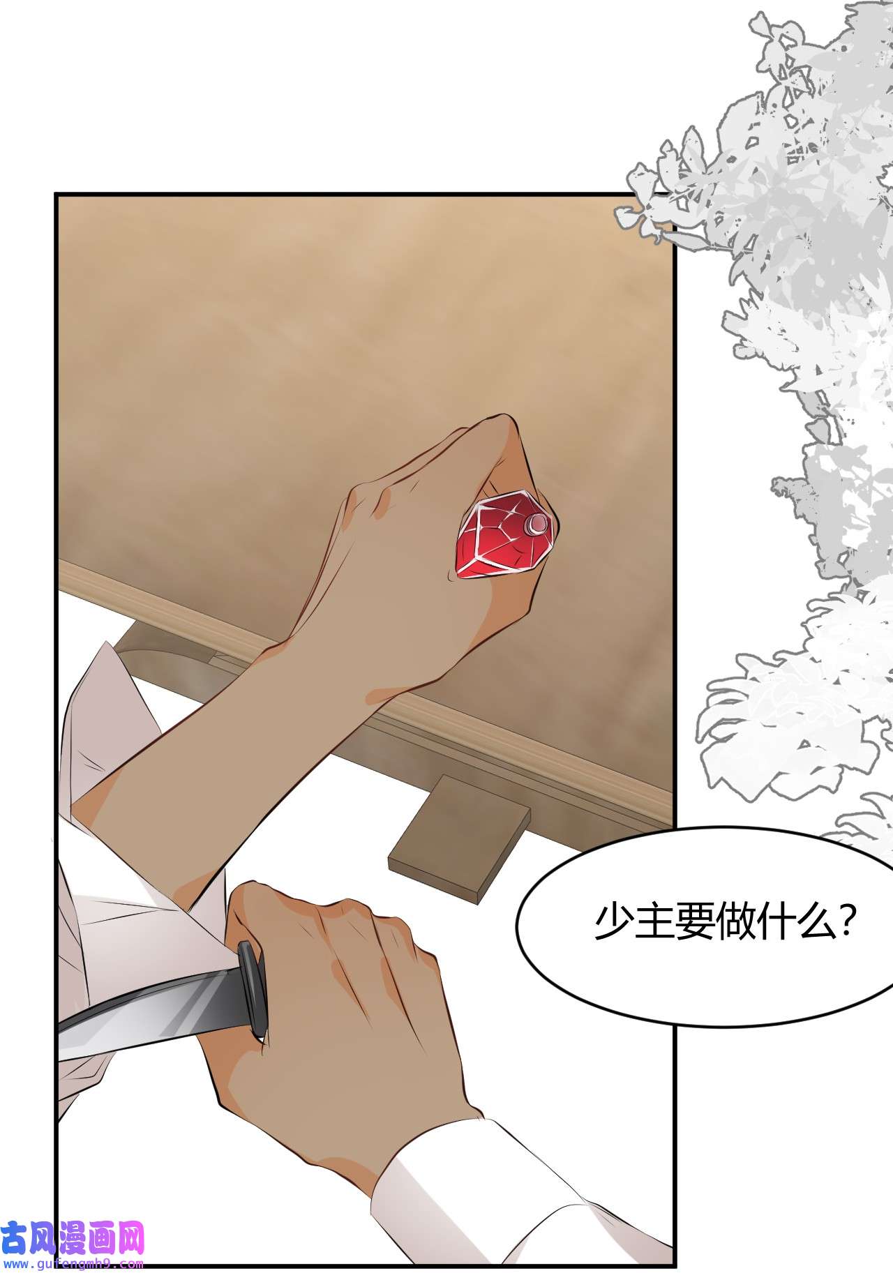 饲龙手册14 克拉克家的长生石